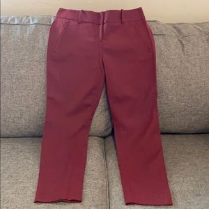 Limited maroon pencil pant